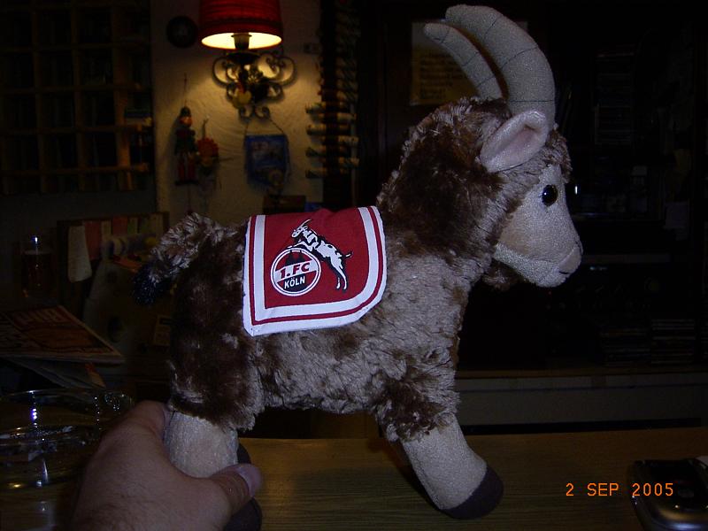 RIMG1381.JPG - Unicode