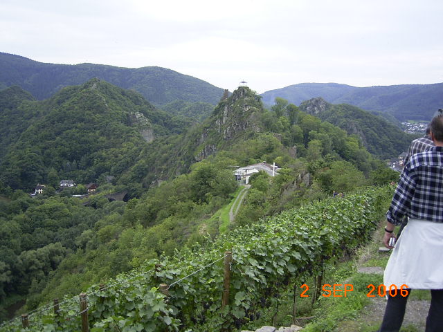 RIMG1881.JPG - Unicode