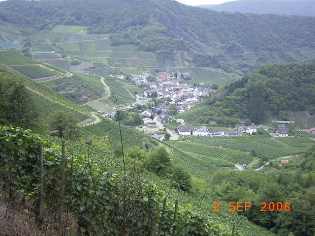 RIMG1883.JPG - Unicode