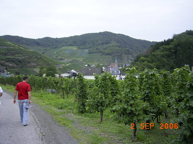 RIMG1884.JPG - Unicode