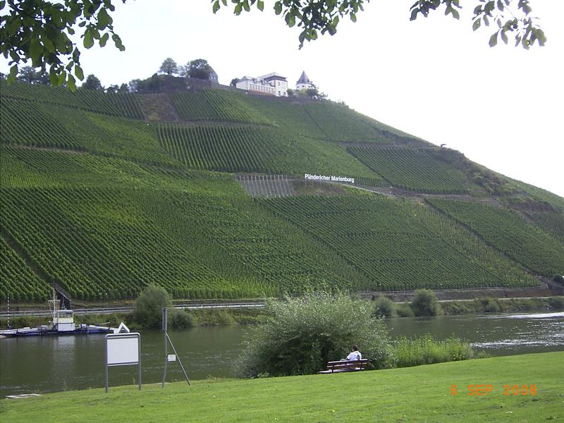 RIMG0226.JPG - Unicode