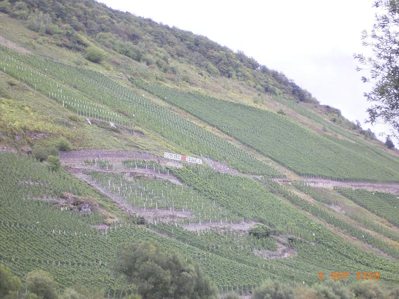 RIMG0257.JPG - Unicode