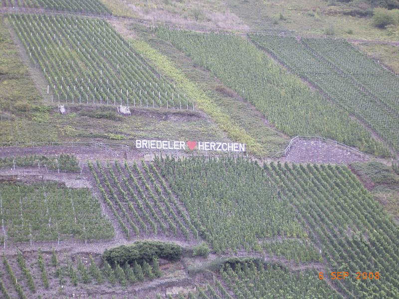 RIMG0259.JPG - Unicode