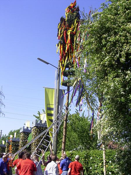 RIMG0073.JPG - Unicode