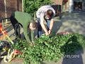 BILD0742