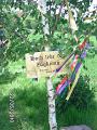 BILD0767